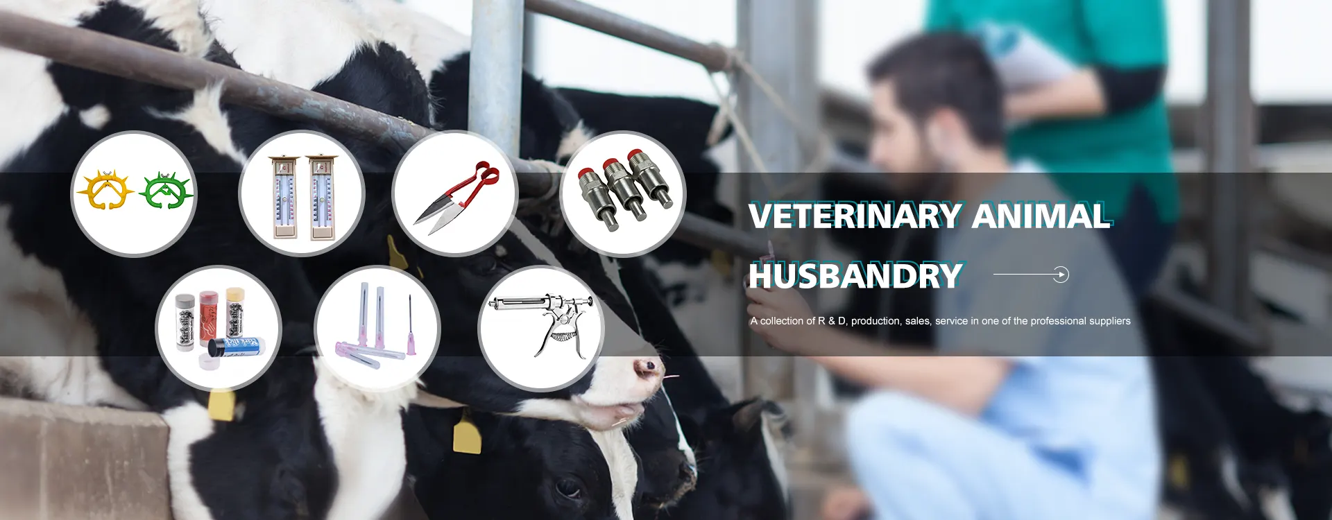 Veterinarii Tools Suppliers