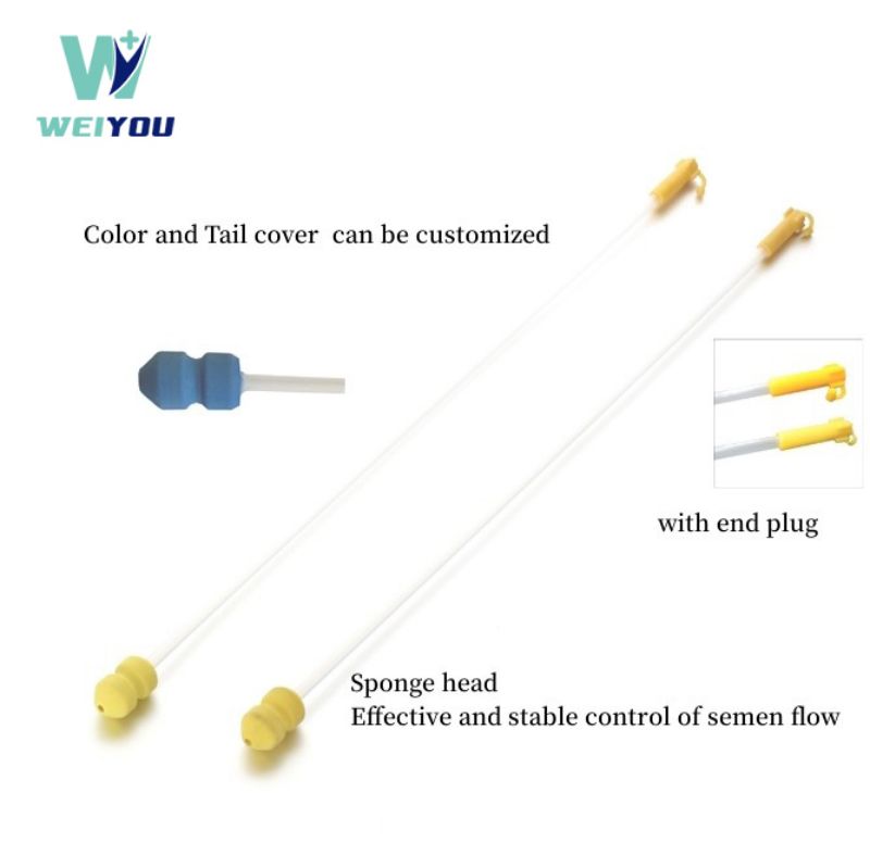 PROMPTU Big Spongia Catheter Cum fine Plug