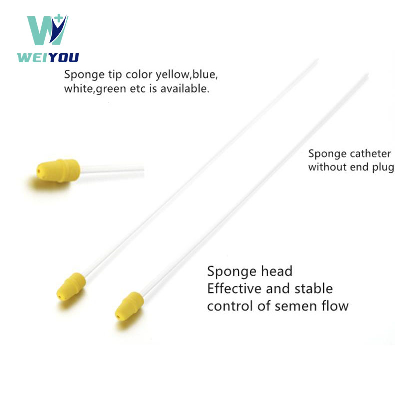 Spongia parva PROMPTU Catheter Sine fine Plug