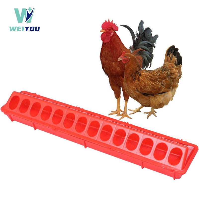 Plastic gallinis pascens alveum